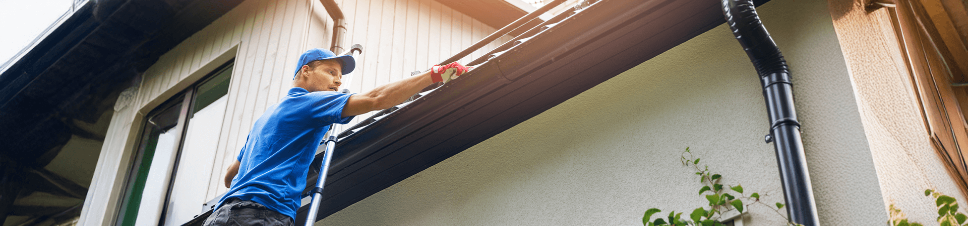 Commercial Window Cleaning